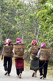 'Tribal Women in the Forests around Muang Sing | Laos' by Asienreisender